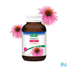 Afbeelding in Gallery-weergave laden, A.vogel Echinaforce Forte + Vitamine C Tabl 90
