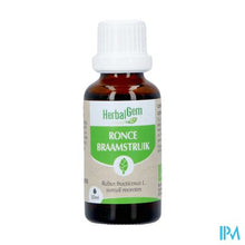 Load image into Gallery viewer, Herbalgem Braamstruik Bio 30ml
