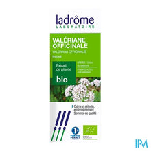 Afbeelding in Gallery-weergave laden, Ladrome Valeriana Officinalis/echte Valeriaan 50ml
