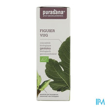 Charger l'image dans la galerie, Purasana Puragem Vijg 50ml

