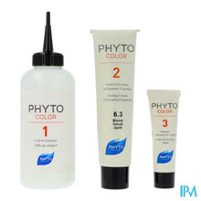 Load image into Gallery viewer, Phytocolor 6.3 Blond Fonce Dore
