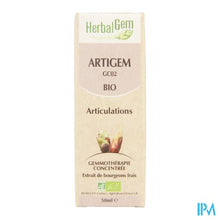 Charger l'image dans la galerie, Herbalgem Artigem Complex 50ml
