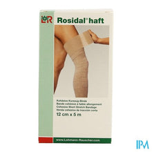 Afbeelding in Gallery-weergave laden, Rosidal Haft Cohesieve Windel 12cmx5m 1 31976

