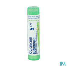 Charger l&#39;image dans la galerie, Colchicum Autumnale 5ch Gr 4g Boiron
