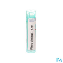 Load image into Gallery viewer, Phosphorus Xmk Gr 4g Boiron
