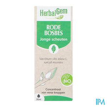 Charger l'image dans la galerie, Herbalgem Rode Bosbes Bio 30ml
