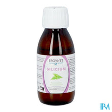 Load image into Gallery viewer, Ergyvet Silicium Fl 100ml
