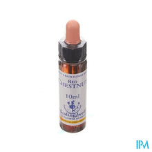 Afbeelding in Gallery-weergave laden, Healing Herbs Red Chestnut 10ml
