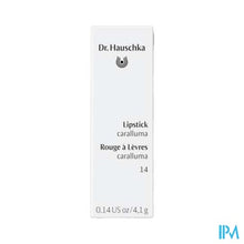 Afbeelding in Gallery-weergave laden, Dr.hauschka Lipstick 14 Caralluma 4,1g Nf
