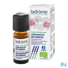 Charger l'image dans la galerie, Ladrome Pelargonium X Asperum/roosgeranium 10ml
