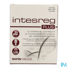 Afbeelding in Gallery-weergave laden, Soria Intesreg Plus 14x10g
