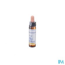 Charger l'image dans la galerie, Healing Herbs Scleranthus 10ml
