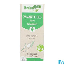 Afbeelding in Gallery-weergave laden, Herbalgem Zwarte Bes Bio Spray 15ml
