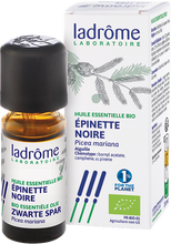 Afbeelding in Gallery-weergave laden, Ladrome Picea Mariana/zwarte Spar 10ml
