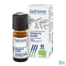 Charger l'image dans la galerie, Ladrome Picea Mariana/zwarte Spar 10ml
