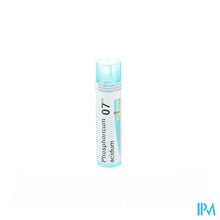 Load image into Gallery viewer, Phosphoricum Acidum 7ch Gr 4g Boiron
