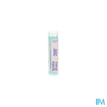 Load image into Gallery viewer, Ignatia Amara 200k Gr 4g Boiron
