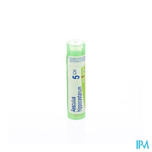 Charger l'image dans la galerie, Aesculus Hippocastanum 5ch Gr 4g Boiron
