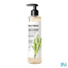 Afbeelding in Gallery-weergave laden, Phytema Herstellende Shampoo 250ml

