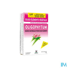 Afbeelding in Gallery-weergave laden, Oligophytum Lithium Tube Microcomp 3x100 Holistica
