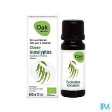 Charger l'image dans la galerie, Oak Ess Olie Citroeneucalyptus 10ml Bio
