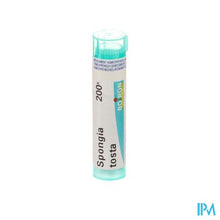 Load image into Gallery viewer, Spongia Tosta 200k Gr 4g Boiron

