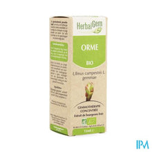 Charger l'image dans la galerie, Herbalgem Olm Maceraat 15ml

