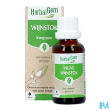 Afbeelding in Gallery-weergave laden, Herbalgem Wijnstok Maceraat Bio 30ml
