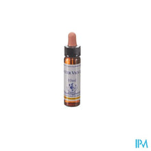 Charger l'image dans la galerie, Healing Herbs Water Violet 10ml
