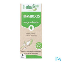 Load image into Gallery viewer, Herbalgem Frambozenstruik Bio 30ml
