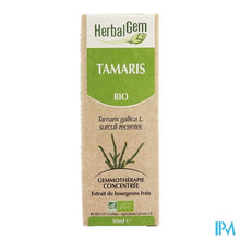 Charger l'image dans la galerie, Herbalgem Tamarisk Maceraat 50ml
