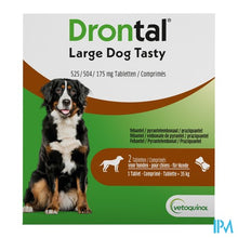 Afbeelding in Gallery-weergave laden, Drontal Large Dog Tasty 525/504/175mg Comp 1x2
