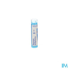 Charger l'image dans la galerie, Magnesia Phosphorica 9ch Gr 4g Boiron
