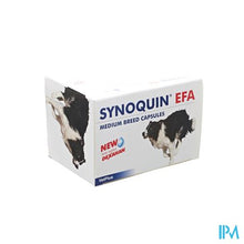 Afbeelding in Gallery-weergave laden, Synoquin Medium Breed 10-25kg Caps 120

