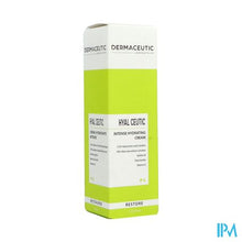 Load image into Gallery viewer, Dermaceutic Hyalceutic 40ml Verv.2956035
