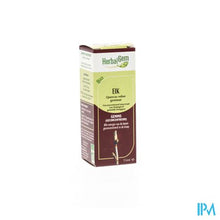 Charger l'image dans la galerie, Herbalgem Eik Maceraat 15ml

