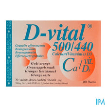 Load image into Gallery viewer, D-vital 500/440 Zakje 30
