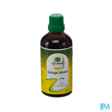 Charger l'image dans la galerie, Fytobell Ginkgo Biloba Ue Gutt 100ml
