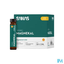 Afbeelding in Gallery-weergave laden, Sanas Magnekal Amp 30

