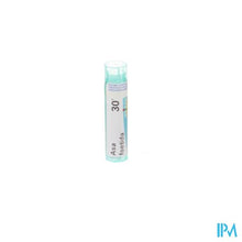 Charger l'image dans la galerie, Asa Foetida 30k Gr 4g Boiron
