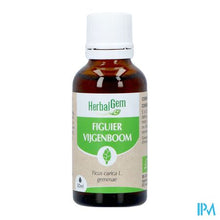 Afbeelding in Gallery-weergave laden, Herbalgem Vijgenboom Bio 30ml
