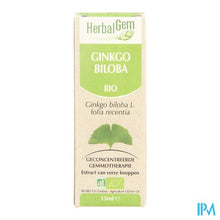 Charger l'image dans la galerie, Herbalgem Ginkgo Biloba Maceraat 15ml
