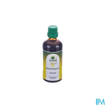 Load image into Gallery viewer, Fytobell Melissa Officinalis Ue Gutt 100ml
