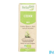 Charger l'image dans la galerie, Herbalgem Libanonceder Maceraat 15ml
