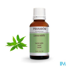 Afbeelding in Gallery-weergave laden, Pranarom Eo Laurier 30ml
