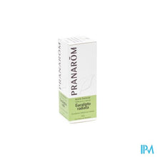 Afbeelding in Gallery-weergave laden, Pranarom Eo Eucalyptus Radiata 10ml
