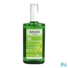 Load image into Gallery viewer, Weleda Deodorant Citrus Nf 100ml
