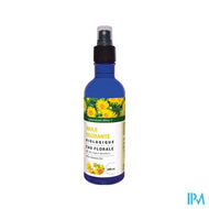 Altho Eau Florale Inule Odorante Bio 200ml