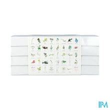 Load image into Gallery viewer, Healing Herbs Set 40x30ml
