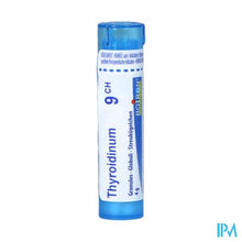 Afbeelding in Gallery-weergave laden, Thyroidinum 9ch Gr 4g Boiron
